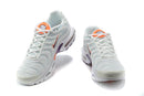 AIR MAX TN 1 “Summit/White“