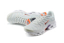 AIR MAX TN 1 “Summit/White“