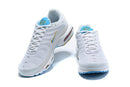 AIR MAX TN 1 “Blue/White”