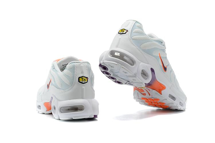 AIR MAX TN 1 “Summit/White“