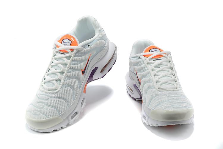 AIR MAX TN 1 “Summit/White“